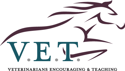 V.E.T. - Veterinarians Encouraging and Teaching