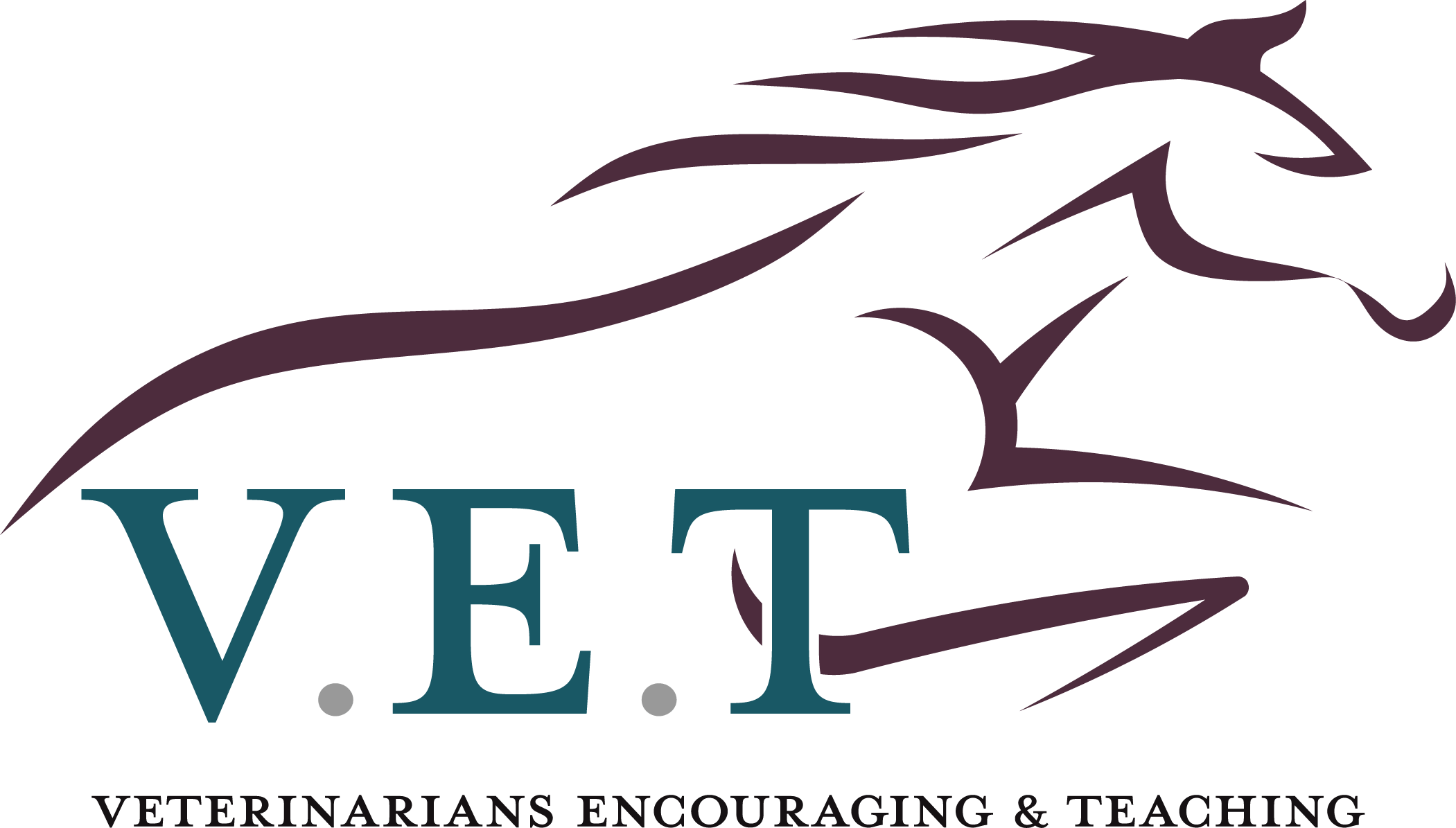 V.E.T. - Veterinarians Encouraging and Teaching